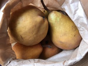 pears