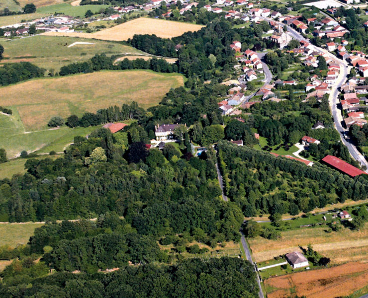 Featured Image
