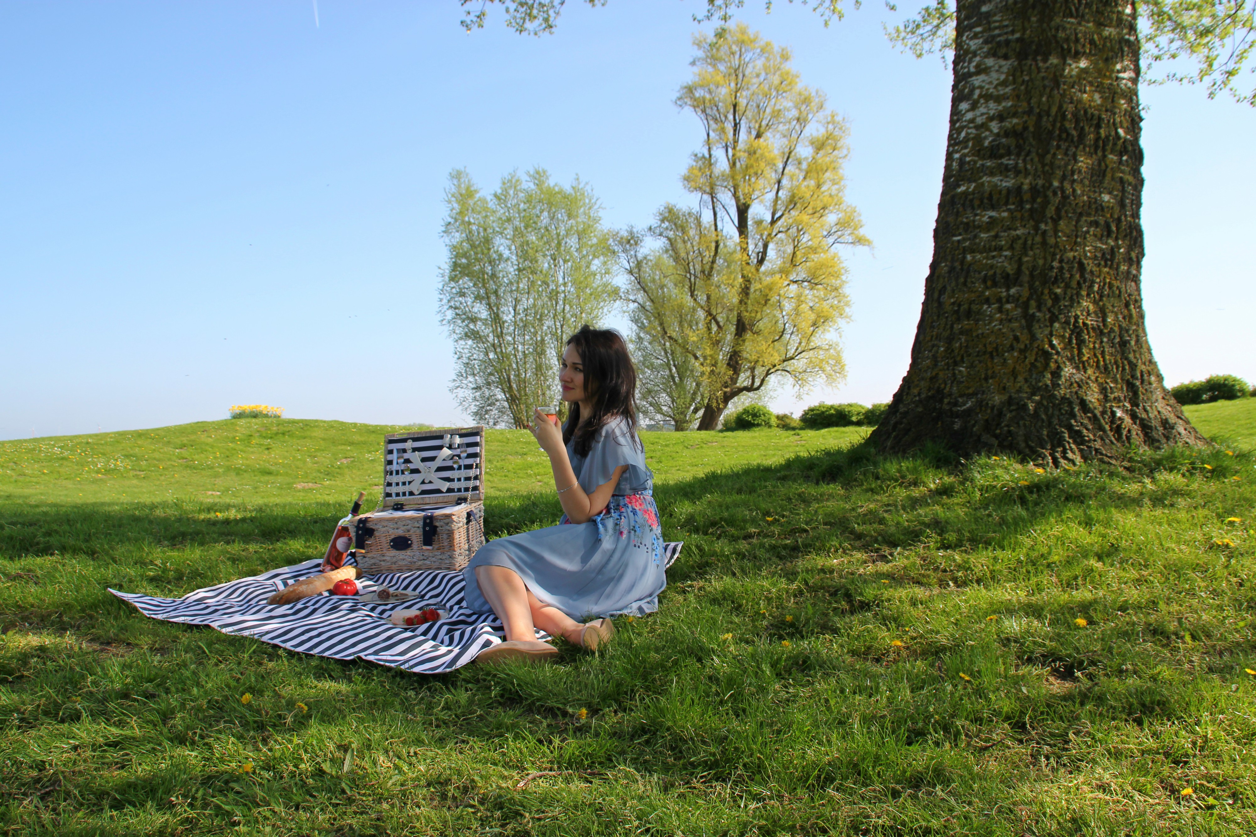 picnic